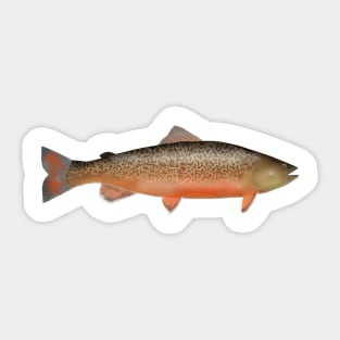 Tiger Trout Sticker